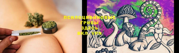 a pvp Кукмор