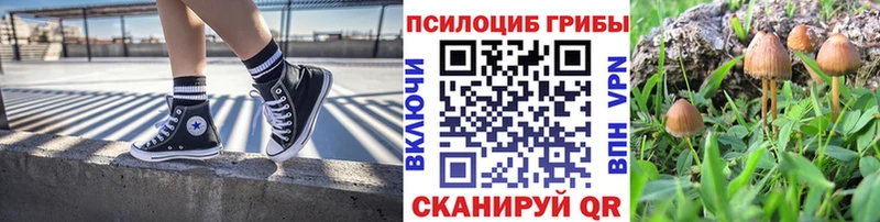 Купить  Карабаново  Псилоцибиновые грибы MAGIC MUSHROOMS 